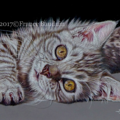 Sparkles - 21 hours
Elephant Colourfix Smooth
8.5" x 11.5"
from Laila's 8th litter - 2016 Sparkles - 21 hours
Elephant Colourfix Smooth
8.5" x 11.5"
from Laila's 8th litter - 2016
